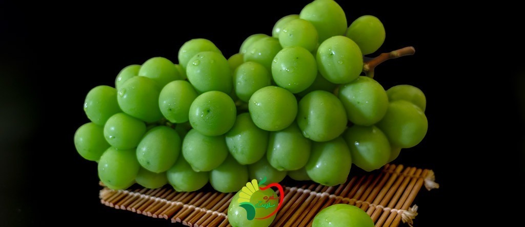 خواص آبغوره طبیعی
